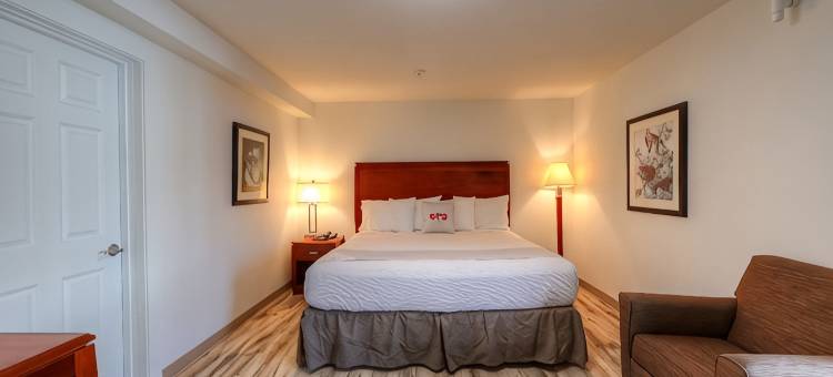 OYO纽波特旅馆-101号高速公路(Newport Inn by OYO - Hwy 101)图片