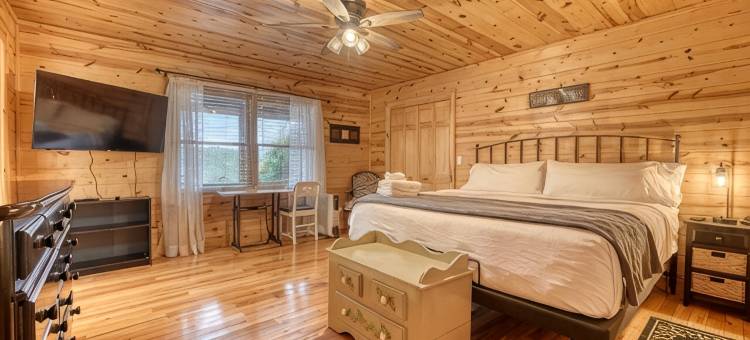 岩顶-双层床/游戏室/热水浴缸/山景度假屋(Rocky Top - Bunk/Game Room/Hot Tub/Mountain View)图片