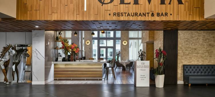 西尔克酒店(The Circ Hotel Hollywood, Sonder)图片