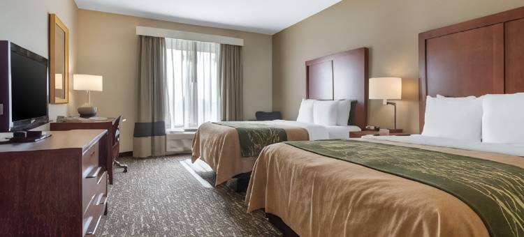 诺曼大学附近舒适套房酒店(Comfort Inn & Suites Norman Near University)图片
