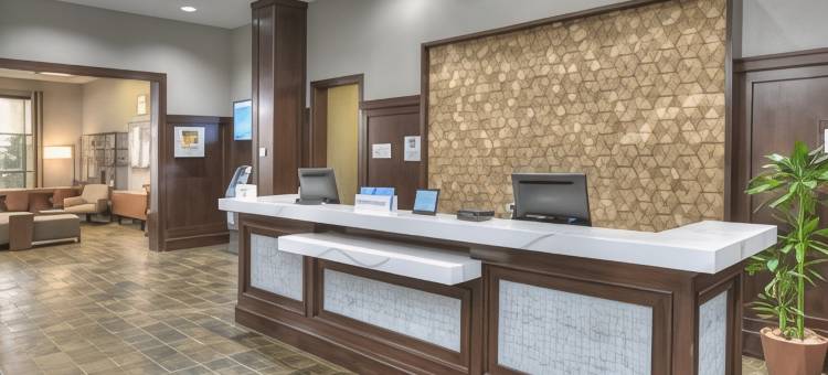 巴尔的摩华盛顿机场喜来登酒店-I(Sheraton Baltimore Washington Airport Hotel - BWI)图片