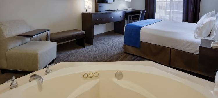 梅多兰兹地区智选假日套房酒店(Holiday Inn Express & Suites MEADOWLANDS AREA by IHG)图片