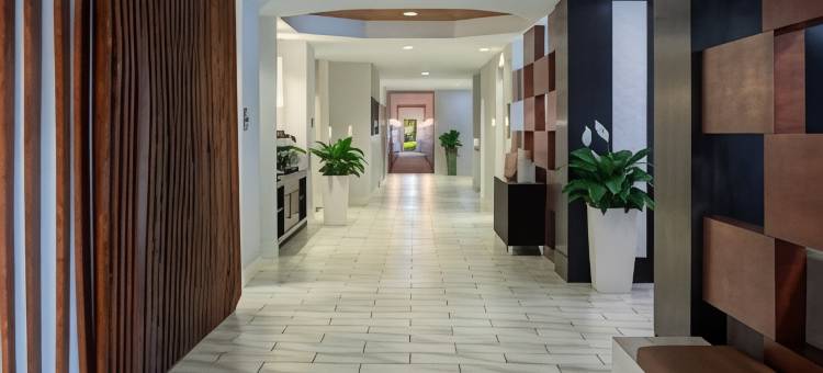 奥兰多会议中心／国际大道区万豪SpringHill酒店(SpringHill Suites Orlando Convention Center/International Drive Area)图片