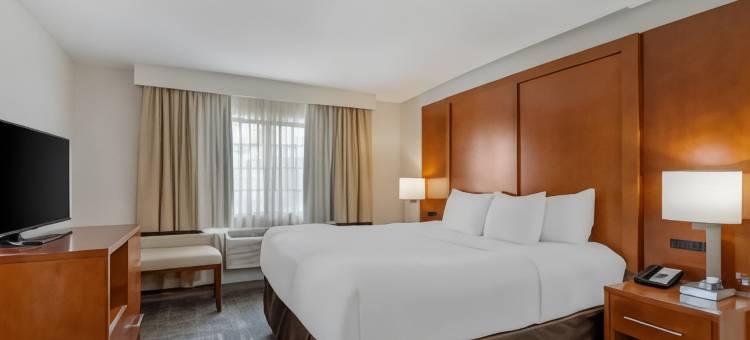 埃弗格林百汇金西舒适套房酒店(Comfort Suites Golden West on Evergreen Parkway)图片