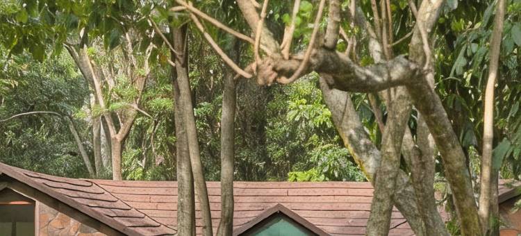 萨罗瓦玛拉野生宿营地(Sarova Mara Game Camp)图片