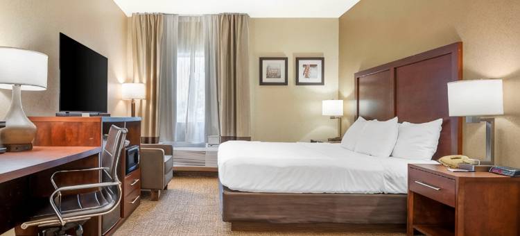 舒适酒店弗里蒙特(Comfort Inn Fremont)图片