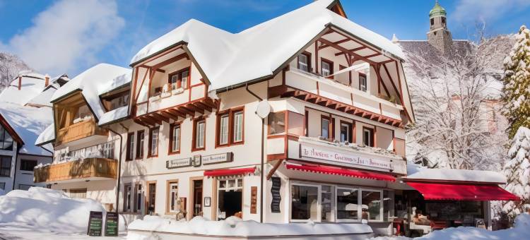 达斯齐默尔曼酒店(Hotel DasZimmermann)图片