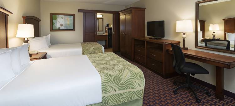 罗森国际酒店(Rosen Inn International Near the Parks)图片
