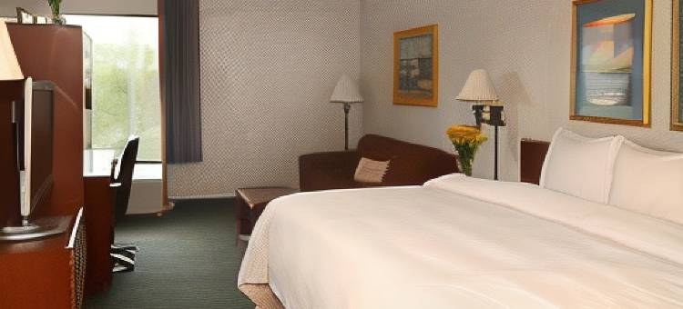 舒适酒店(Comfort Inn)图片