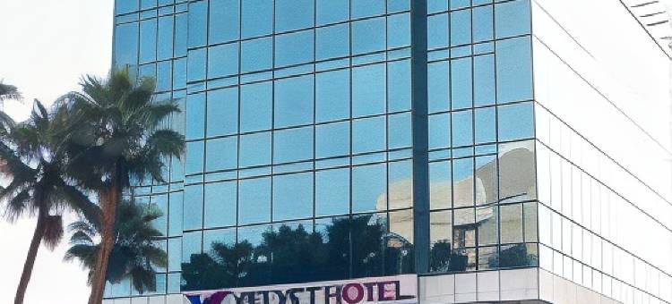 吉达天鹅绒酒店(Velvet Hotel Jeddah)图片