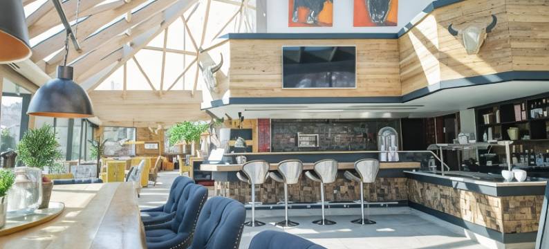 Tanne酒店(Hotel Tanne Ilmenau)图片