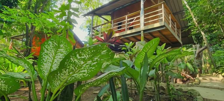 Santi Garden Bungalows图片