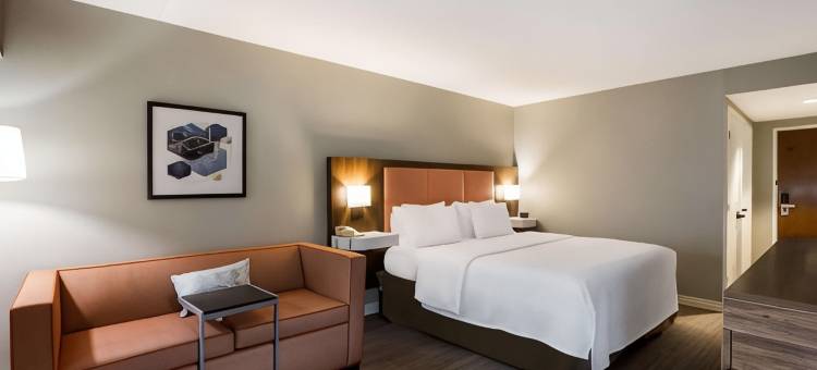 希尔顿欢朋酒店-费城威洛格罗夫(Hampton Inn Philadelphia/Willow Grove)图片