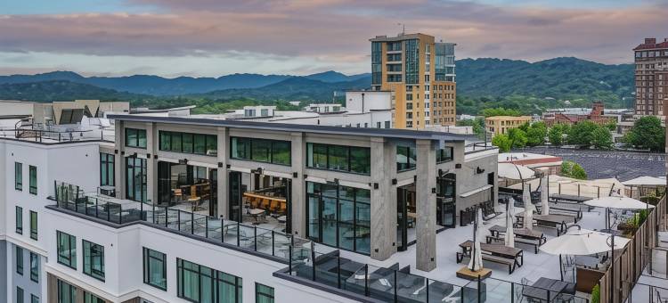 希尔顿使馆套房阿什维尔市中心(Embassy Suites by Hilton Asheville Downtown)图片