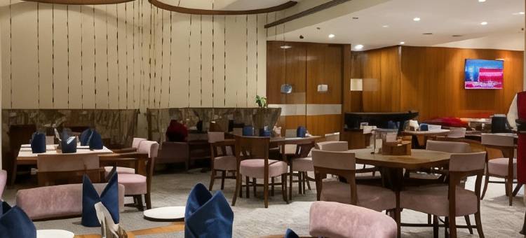 浦那荣耀酒店(Pride Hotel Pune)图片