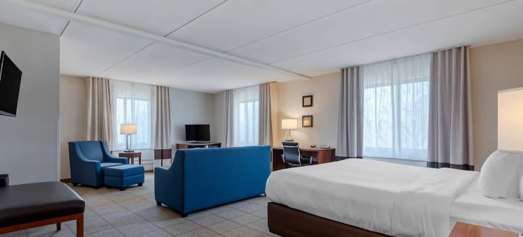 波因特舒适酒店(Comfort Inn the Pointe)图片