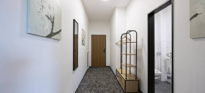 全景酒店莱茵王冠(Panorama Hotel Rheinkrone)图片