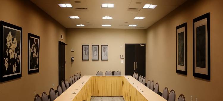 奥兰多罗森酒店(Rosen Inn at Pointe Orlando)图片