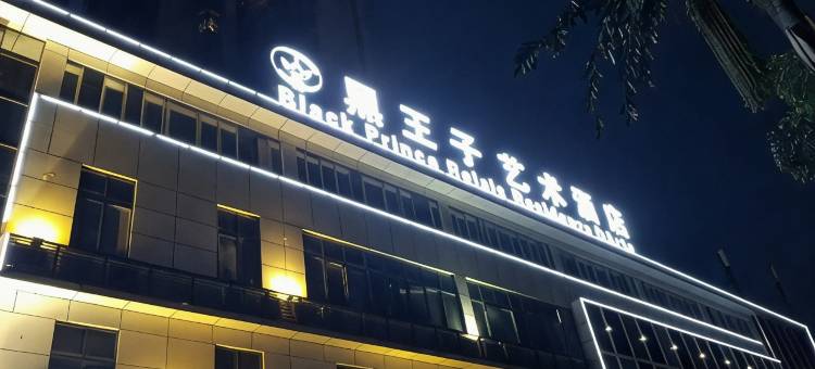 黑王子艺术酒店(泸州龙马潭区政府店)图片
