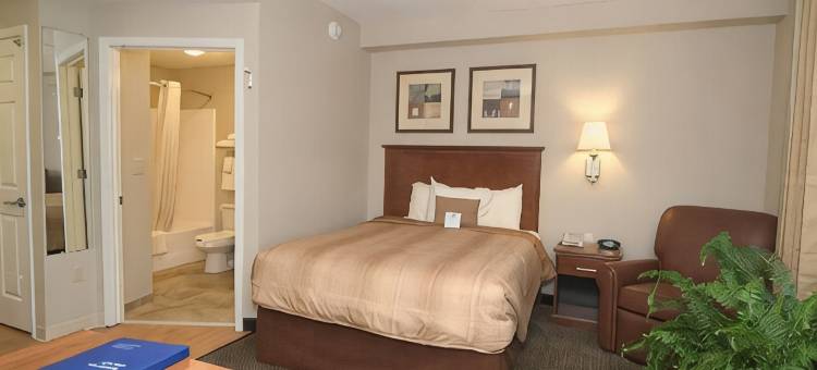 Candlewood Suites 哥伦比亚英尺。杰克逊 by IHG(Candlewood Suites COLUMBIA-FT. JACKSON by IHG)图片