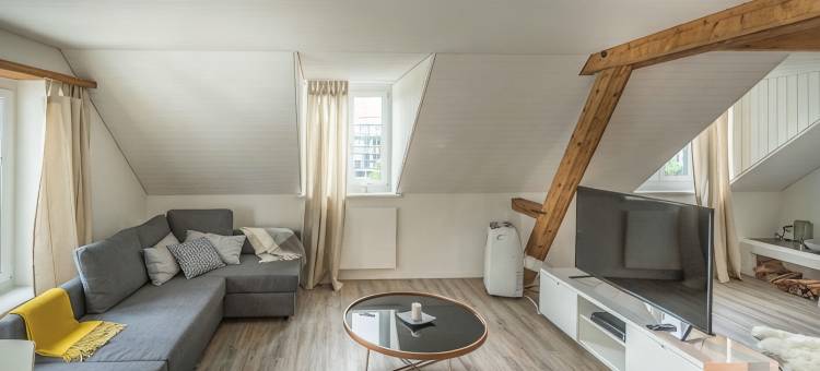 天空之家车站附近乐闻普拉茨公寓(Löwenplatz Apartment Near Station by Airhome)图片