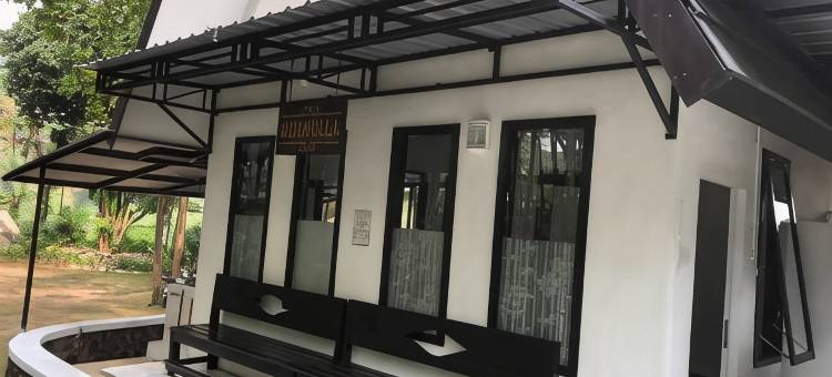 The Alit图片