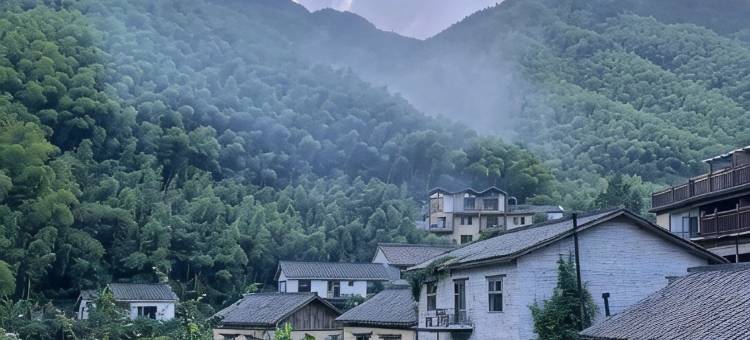 四季溪舍公寓(桐庐东站店)图片