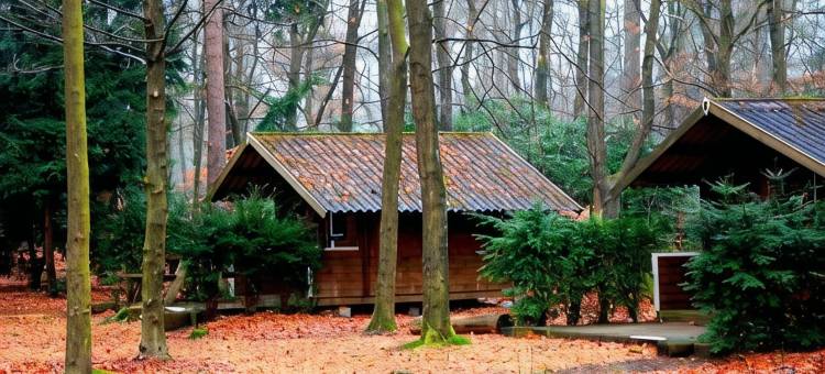 阿培尔顿好住旅馆(Stayokay Hostel Apeldoorn - Fully Renovated March 2026)图片