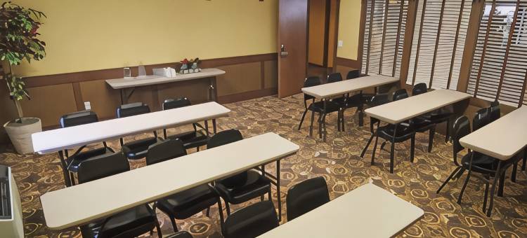 布尔什瑞昂/弗兰肯默斯温德姆Americinn酒店(Americinn by Wyndham Birch Run/Frankenmuth)图片