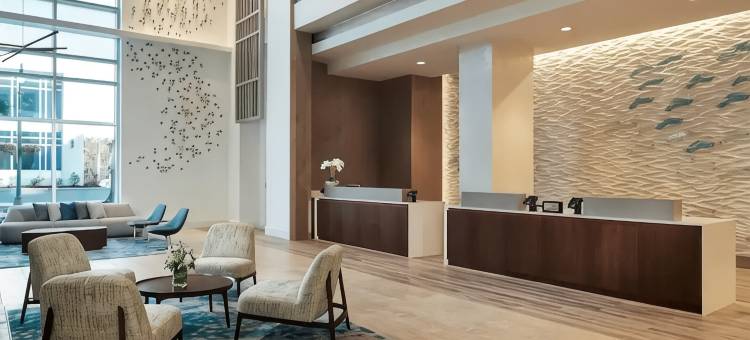 默特尔比奇海洋内飞地希尔顿分时度假俱乐部(Hilton Grand Vacations Club Ocean Enclave Myrtle Beach)图片