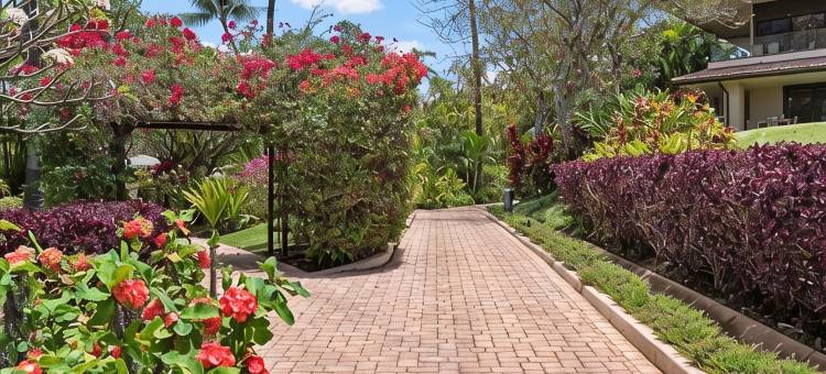 Spectacular Beachfront Platinum Condo; Stunning Views; Steps to Fab Snorkeling图片