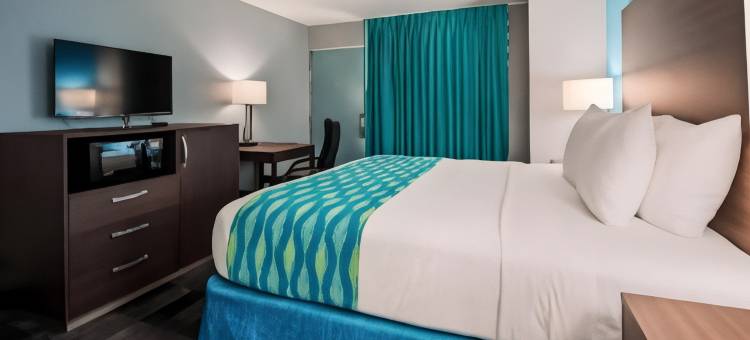 杰克逊维尔南贝斯特韦斯特SureStay酒店(SureStay Hotel by Best Western Jacksonville South)图片