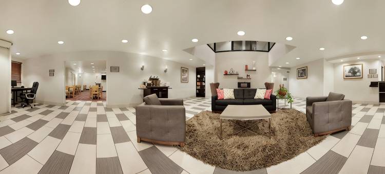 沃斯堡国际机场南丽怡酒店(Country Inn & Suites by Radisson, DFW Airport South, TX)图片