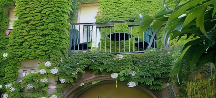 Logis Hôtel 餐厅 Les Norias(Logis Hôtel Restaurant les Norias)图片