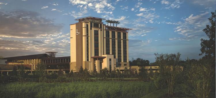 巴吞鲁日奥博格酒店(L'Auberge Baton Rouge)图片