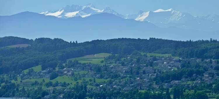 贝因维尔瑞士质量湖边酒店(Seehotel Beinwil am See Swiss Quality)图片