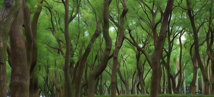 台北松哖酒店图片