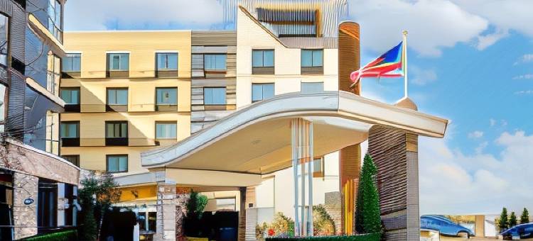 万豪万枫酒店-亚特兰大利西亚斯普林斯(Fairfield Inn & Suites Atlanta Lithia Springs)图片