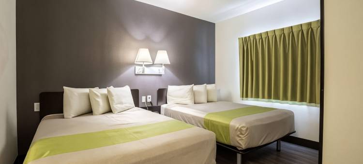 Studio 6 Bay City - 得克萨斯(Studio 6 Bay City, TX)图片