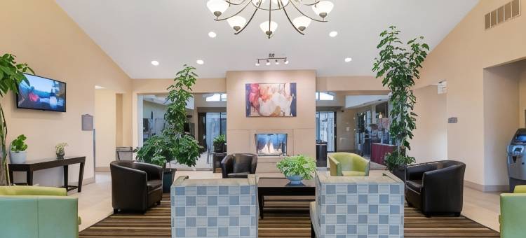 安提阿酒店及套房(Antioch Hotel & Suites)图片