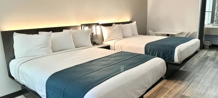 肯塔基路易斯威尔机场/会展中心 6 号套房酒店(Studio 6 Suites Louisville KY  Airport Expo Center)图片