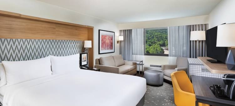 Holiday Inn 阿什维尔，比尔特莫尔东(Holiday Inn Asheville East-Blue Ridge Pkwy)图片