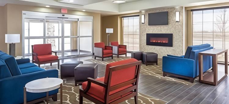 南米德兰I-20舒适酒店(Comfort Inn Midland South I-20)图片