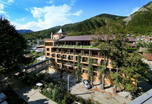 Borjomi Palace Health & Spa CenterHotel Overview