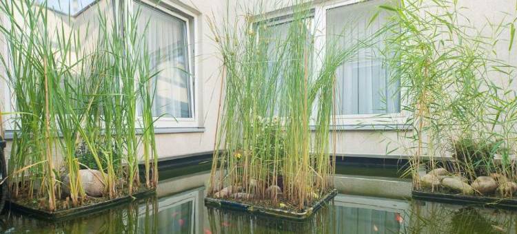 米尔海姆论坛贝斯特韦斯特酒店(Best Western Hotel Im Forum Muelheim)图片