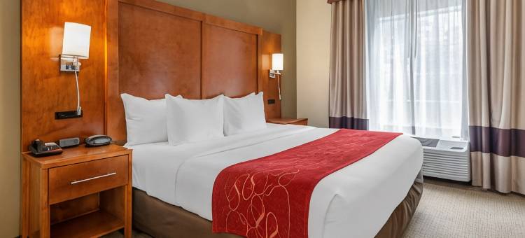 纽瓦克哈里森舒适套房酒店(Comfort Suites Newark - Harrison)图片