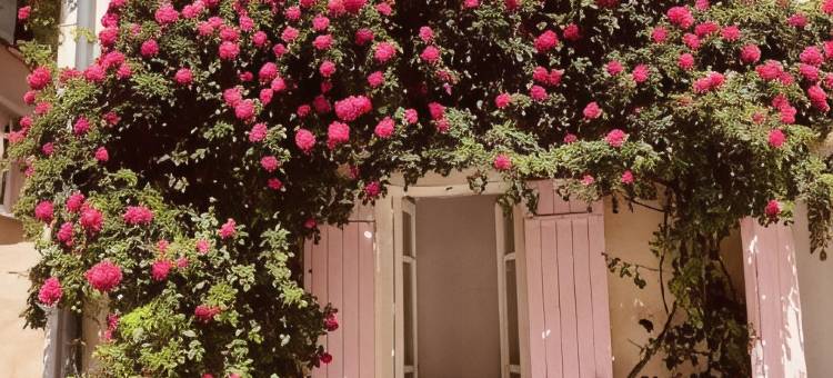 普罗旺斯暂停时光住宿加早餐旅馆(B&B Temps Suspendu Provence)图片