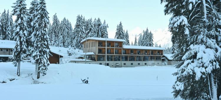 坎普拉高山 SPA 旅馆(Campra Alpine Lodge & Spa)图片
