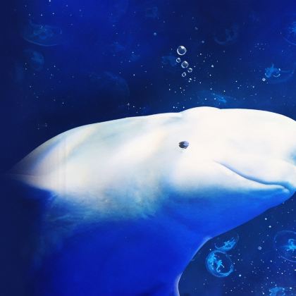 大连2日1晚跟团游