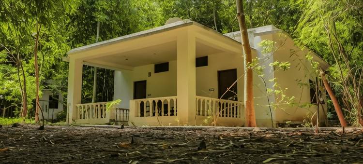 潘纳老虎度假村 - 河边物业(Panna Tiger Resort- Riverside Property)图片